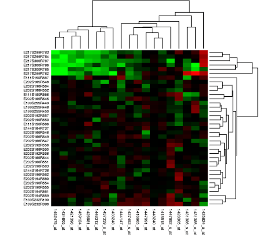 Website Heatmap